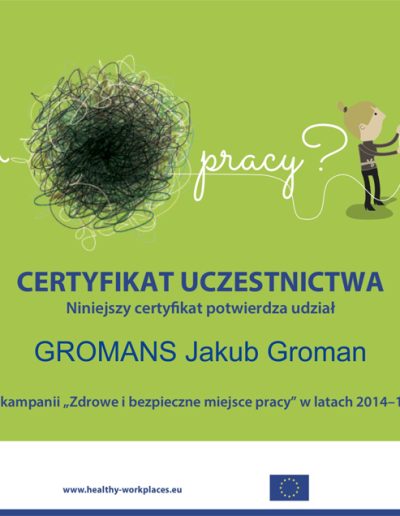 Charter of the Healthy Workplaces campaign